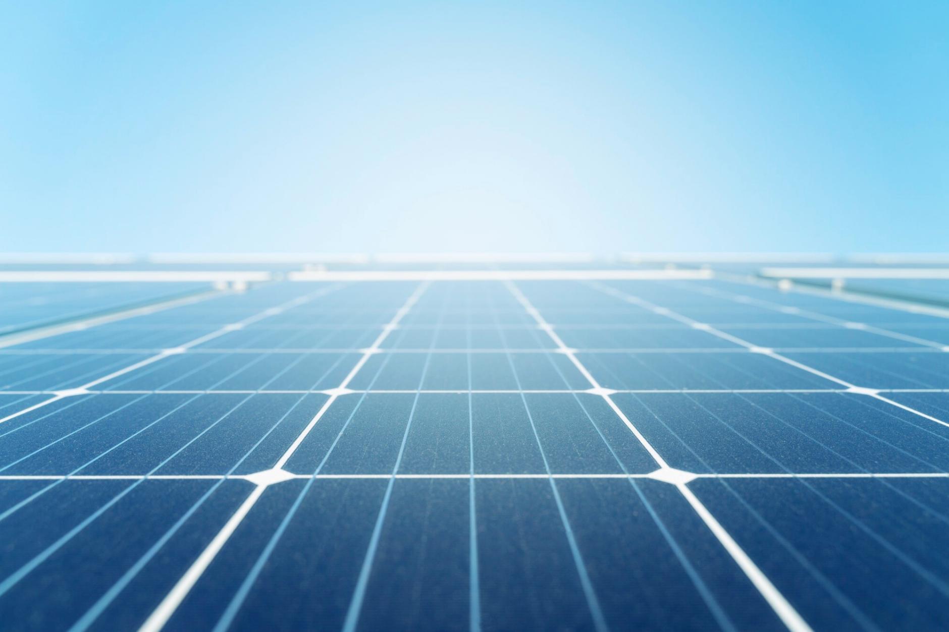 Forest ecology research and educational environment