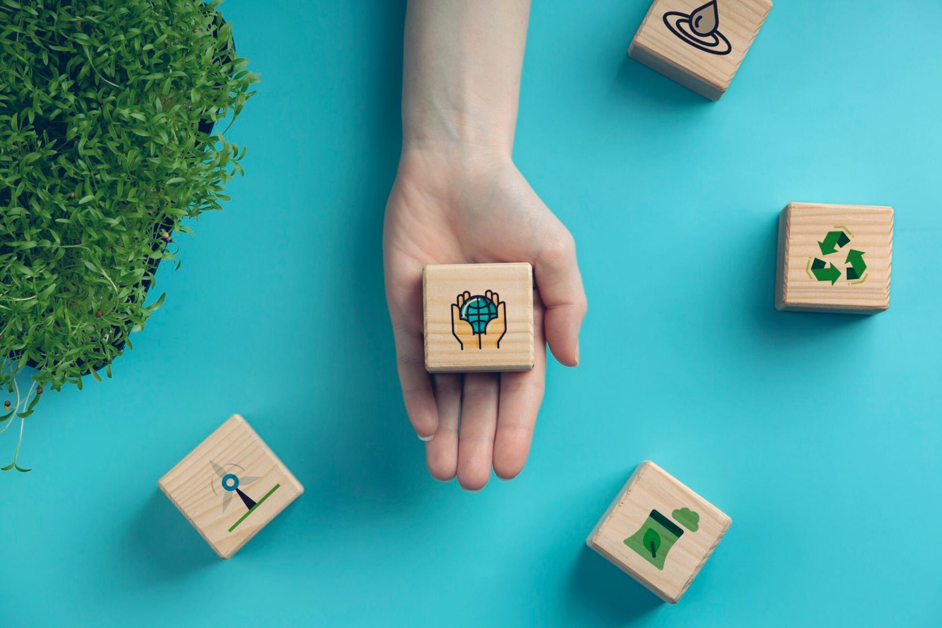 Digital farming sensors installed in mixed deciduous forest monitoring microclimate and soil moisture